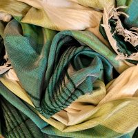 Soie de Cactus / Velours Fraîcheur de Mousse – 214×144
